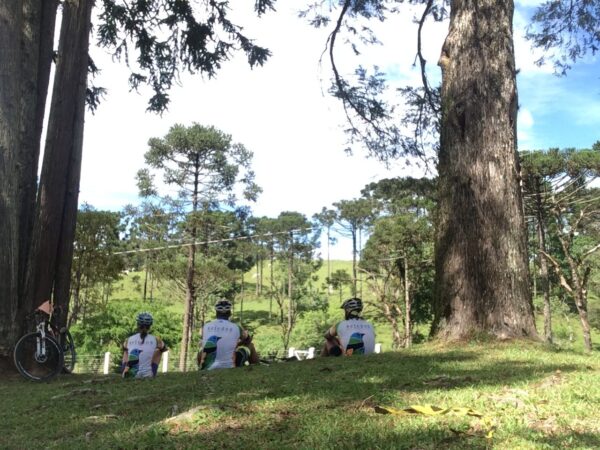 Circuito das Araucárias - Personalizado - Imagem 6