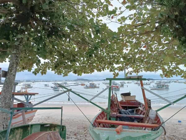 Costa Verde e Mar - Personalizado - Imagem 5