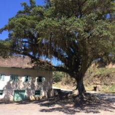 Circuito Serra do Itajaí - 5 dias - 13 a 19 julho